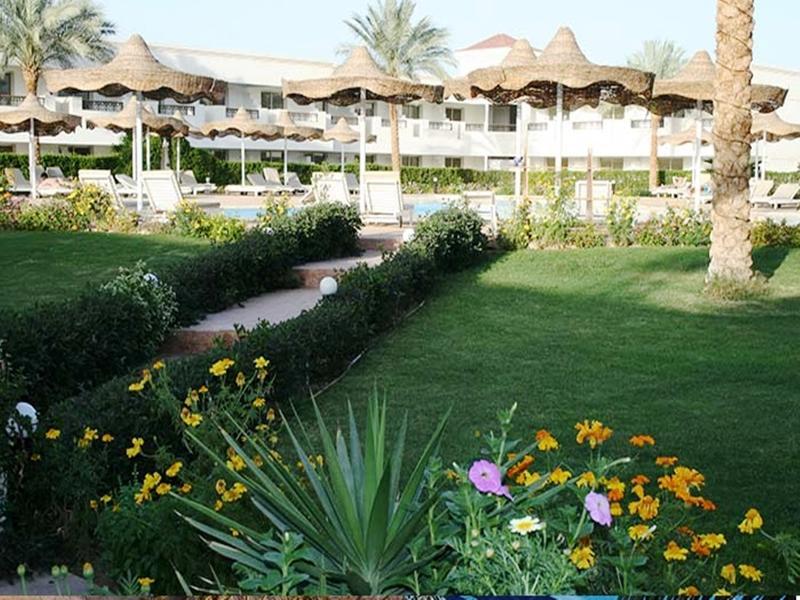 Viva 3* Sharm-el-Sheikh